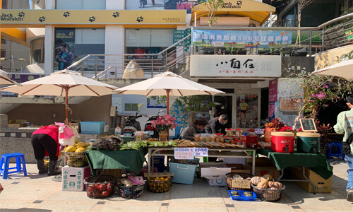 元月特色茶市集